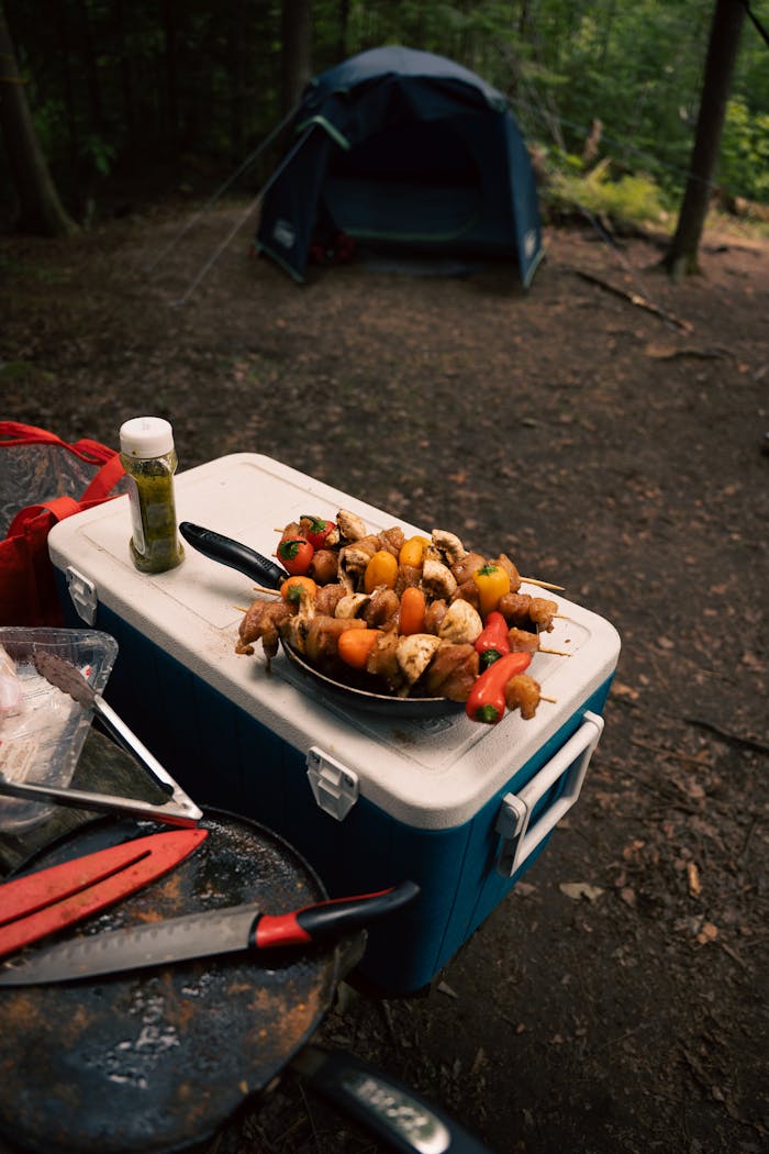 Sizzling skewers on a cooler at a forest campsite, perfect for adventure lovers.