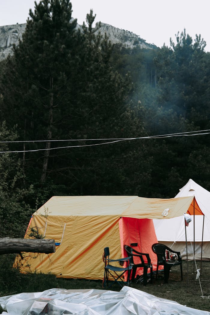 Vibrant tents set up in a lush forest, perfect for a peaceful outdoor camping experience.